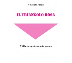 Il triangolo rosa di Vincenzo Parato,  2021,  Youcanprint