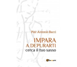 Impara a Depurarti cerca il tuo sasso, Pier Antonio Bacci,  2017,  Youcanprint