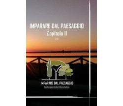 Imparare dal Paesaggio - Capitolo II	 di Chiara Aufiero,  2019,  Youcanprint