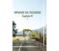 Imparare dal Paesaggio - Capitolo III	 di Chiara Aufiero,  2020,  Youcanprint