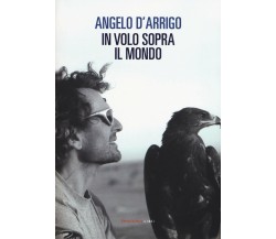 In volo sopra il mondo - Angelo D'Arrigo - Fandango Libri, 2017