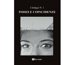 Indizi e Coincidenze	 di I. Indago,  2017,  Youcanprint