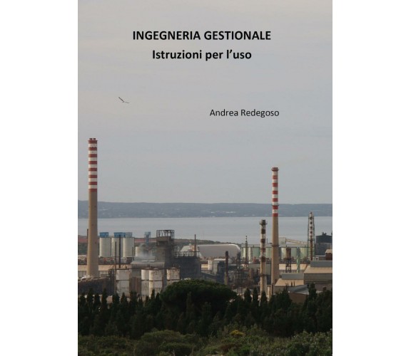 Ingegneria gestionale - istruzioni per l’uso, di Andrea Giovanni Redegoso,  2017