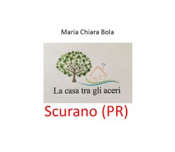 LA CASA TRA GLI ACERI - Scurano (PR) - Maria Chiara Bola,  2020,  Youcanprint