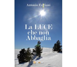 La Luce che non abbaglia	 di Antonio Falciani,  2017,  Youcanprint