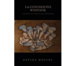 La condizione Whinsor (viaggio ai limiti del possibile) di Davide Mocini, 2023