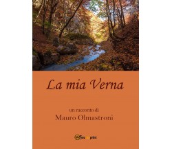 La mia Verna	 di Mauro Olmastroni,  2017,  Youcanprint