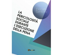 La pericolosità sociale durante l’esecuzione della pena di Donato Santoro,  2019