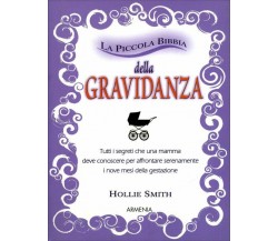 La piccola bibbia della gravidanza. Tutti i segreti che una mamma deve conoscere