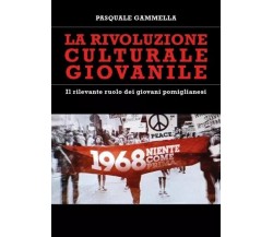 La rivoluzione culturale giovanile - Il rilevante ruolo dei giovani pomiglianesi