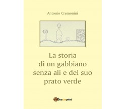 La storia di un gabbiano senza ali e il suo prato verde	 di Antonio Cremonini