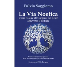 La via noetica. Come risalire alle sorgenti del reale attraverso il pensare di F