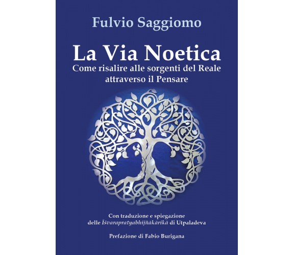 La via noetica. Come risalire alle sorgenti del reale attraverso il pensare di F