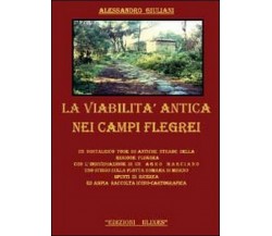 La viabilità antica nei campi Flegrei	 di Alessandro Giuliani,  2011,  Youcanpri