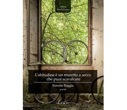 L’abitudine è un muretto a secco che puoi scavalcare	 di Baggia Simone,  2019