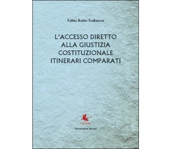 L’accesso diretto alla giustizia costituzionale. Itinerari comparati