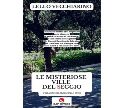 Le misteriose ville del Seggio. L’indagine del maresciallo Ruidi di Lello Vecch