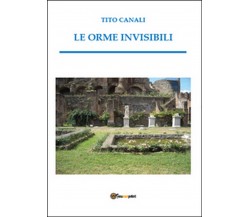 Le orme invisibili	 di Tito Canali,  2015,  Youcanprint