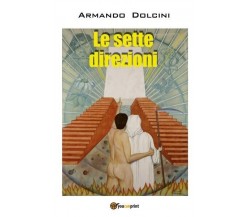 Le sette direzioni di Armando Dolcini, 2022, Youcanprint