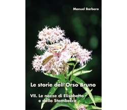 Le storie dell’Orso Bruno VII. Le nozze di Elisabetta e dello Stambecco