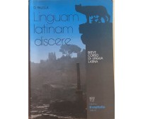 Linguam latinam discere di Donato Palella, 1987, Il Capitello