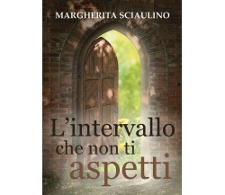 L’intervallo che non ti aspetti	 di Margherita Sciaulino,  2020,  Youcanprint