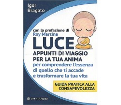 Luce. Appunti di viaggio per la tua anima (Barbato, Om Edizioni, 2019) - ER