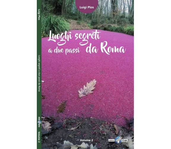 Luoghi segreti a due passi da Roma – Vol. 2 di Luigi Plos, 2018, Edizioni Il 