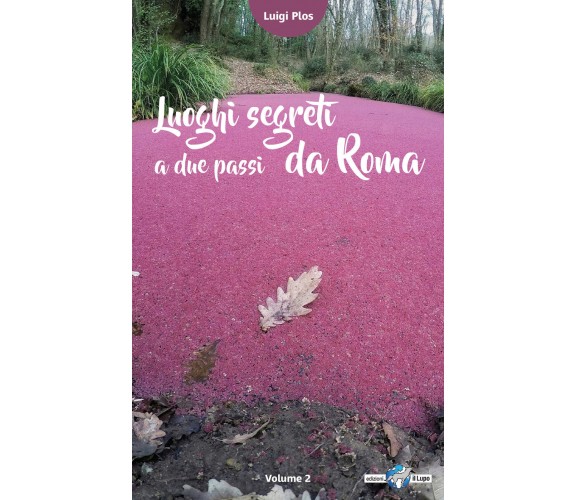 Luoghi segreti a due passi da Roma - Volume 2 - Luigi Plos, G. Gandini,  2017,  