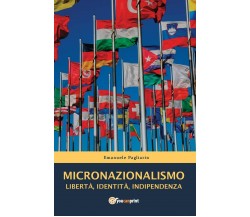 MICRONAZIONALISMO - Libertà, Identità, Indipendenza di Emanuele Pagliarin,  2017