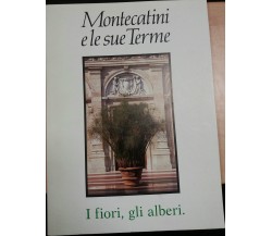 MONTECATINI E LE SUE TERME - AA.VV. - IL FIORINO - 1988 - M 