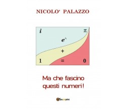 Ma che fascino questi numeri!	 di Nicolò Palazzo,  2018,  Youcanprint