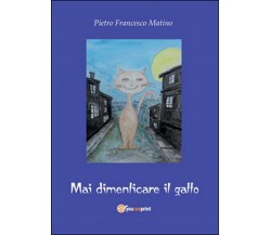 Mai dimenticare il gatto	 di Pietro Francesco Matino,  2014,  Youcanprint