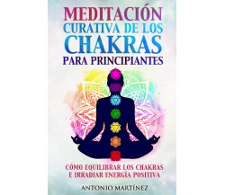 Meditación curativa de los chakras para principiantes. Cómo equilibrar los chakr