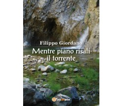 Mentre piano risali il torrente	 di Filippo Giordano,  2016,  Youcanprint