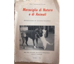 Meraviglie di natura e di animali di Mons. Ermenegildo Fusaro, 1976, Scuola Tipo