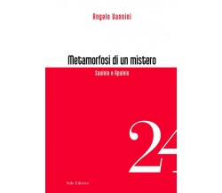 Metamorfosi di un mistero - Angelo Vannini - Stilo, 2018