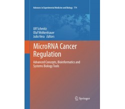 MicroRNA Cancer Regulation - Ulf Schmitz - Springer, 2016