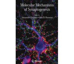 Molecular Mechanisms of Synaptogenesis - Alexander Dityatev - Springer, 2010