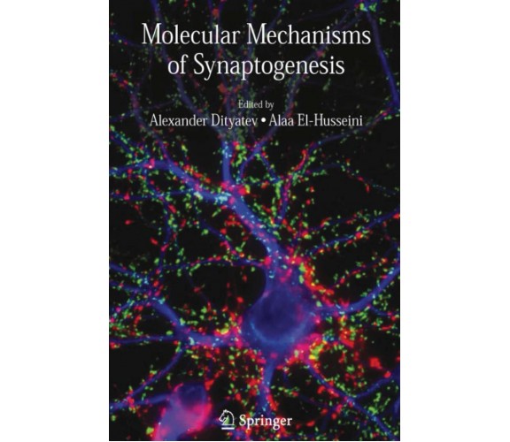 Molecular Mechanisms of Synaptogenesis - Alexander Dityatev - Springer, 2010