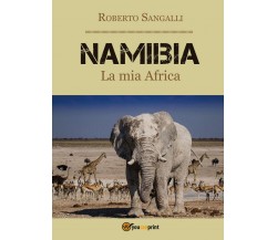 Namibia - La mia Africa	 di Roberto Sangalli,  2016,  Youcanprint