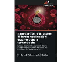 Nanoparticelle di ossido di ferro - Seyed Mohammadali Dadfar - Sapienza, 2022