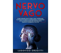 Nervo Vago Come Superare Stati di Stress, Ansia, Depressione ed Attacchi di Pani