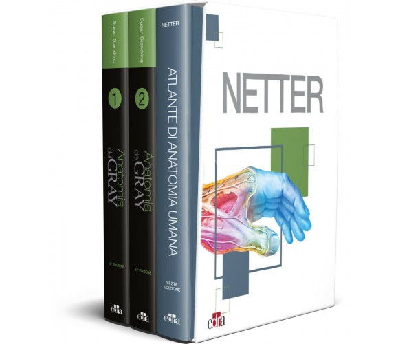 Netter Gray - Frank H. Netter, Susan Standring - Edra, 2022