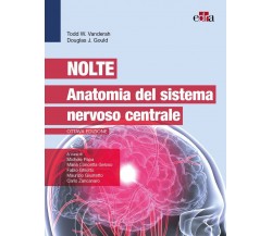 Nolte - Anatomia del sistema nervoso centrale - Edra, 2022