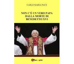 Non c’è un vero Papa dalla morte di Benedetto XVI di Carlo Maria Pace, 2023, 