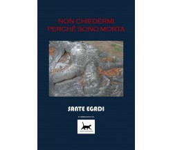 Non chiedermi perché sono morta	 di Sante Egadi,  2016,  Youcanprint