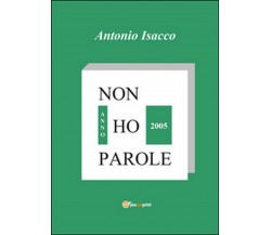 Non ho parole. Anno 2005	 di Antonio Isacco,  2014,  Youcanprint