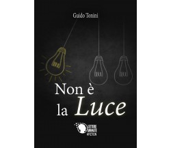 Non è la luce	 di Guido Tonini,  2017,  Lettere Animate Editore