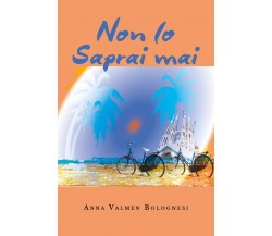 Non lo saprai mai	 di Anna Valmen Bolognesi,  2019,  Youcanprint